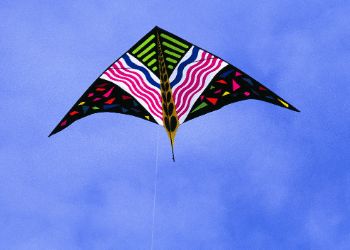 Best Delta Kite 2022 | Buyer’s Guide & Reviews